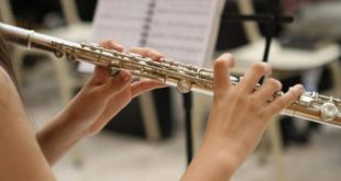 Comissão aprova incentivos fiscais para instrumentos musicais e partituras
