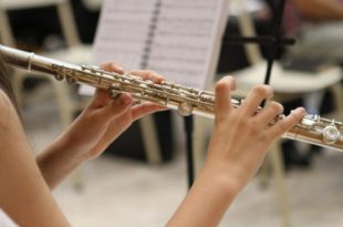 Comissão aprova incentivos fiscais para instrumentos musicais e partituras