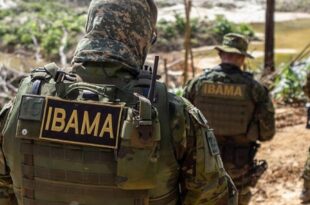 Comissão mantém decreto que altera regulamento sobre fiscalização do Ibama
