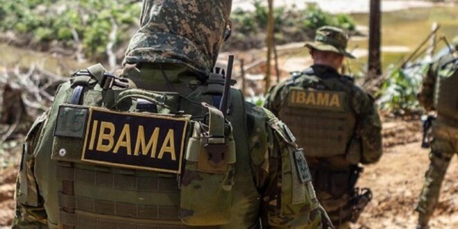 Comissão mantém decreto que altera regulamento sobre fiscalização do Ibama