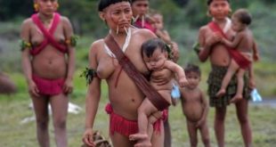 ONU: "Situação dos indígenas e dos Direitos Humanos no Brasil é alarmante"