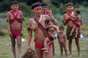 ONU: "Situação dos indígenas e dos Direitos Humanos no Brasil é alarmante"