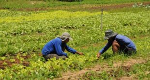 Revoltados com o descaso, produtores do Ramal do Bujari ameaçam interditar a via nas proximidades do Café Contry