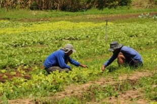 Revoltados com o descaso, produtores do Ramal do Bujari ameaçam interditar a via nas proximidades do Café Contry