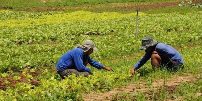 Revoltados com o descaso, produtores do Ramal do Bujari ameaçam interditar a via nas proximidades do Café Contry