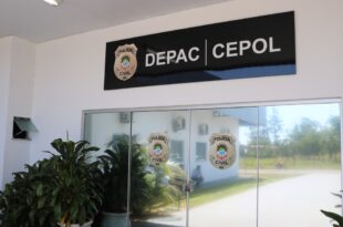 Pitbull sem focinheira invade casa de vizinhos e mata pinscher de idosos