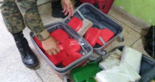 Gefron apreende quase 50kg de drogas na BR-317 rumo a Capital do Acre