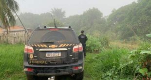 PF realiza Operação “Mâncio Limpa III” contra o tráfico de drogas no interior