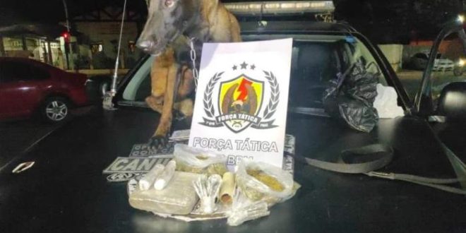 Com ajuda de cadela policial, PM apreende cerca de R$ 3 mil em maconha escondida em barranco do Rio Acre