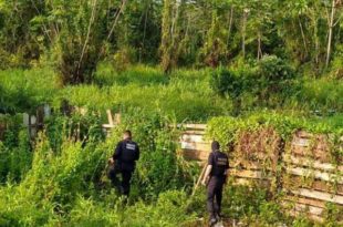 Operação conjunta das polícias Federal, Civil e Militar cumpre 17 mandados contra o tráfico de drogas em Cruzeiro do Sul