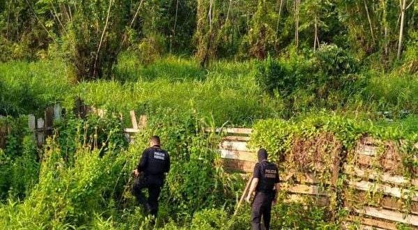 Operação conjunta das polícias Federal, Civil e Militar cumpre 17 mandados contra o tráfico de drogas em Cruzeiro do Sul