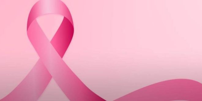 Assembleia Legislativa do Acre se solidariza com a campanha Outubro Rosa