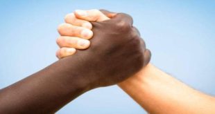 Comissão de combate ao racismo deve sugerir renda cidadã e parâmetros para uso de força policial