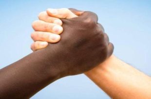 Comissão de combate ao racismo deve sugerir renda cidadã e parâmetros para uso de força policial