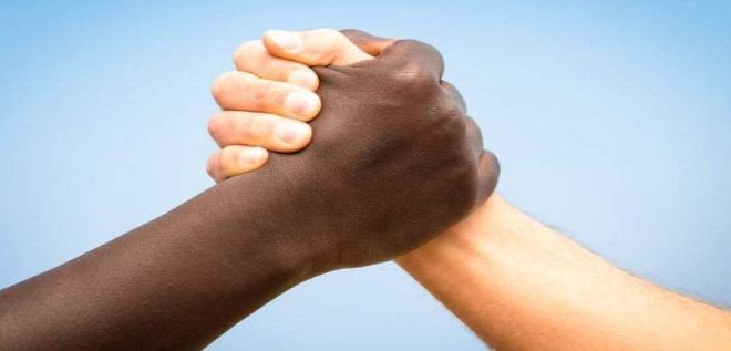 Comissão de combate ao racismo deve sugerir renda cidadã e parâmetros para uso de força policial
