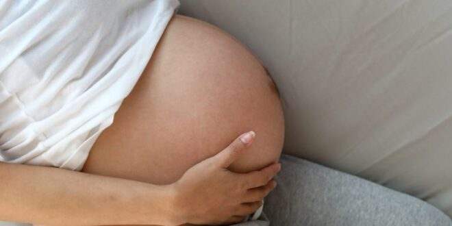 Comissão debate estudo sobre potencial vacina anticocaína que protege bebês em gestação