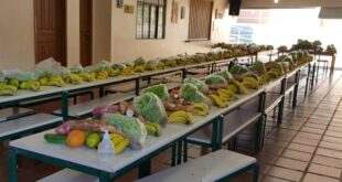 Comissão discute problemas na distribuição da alimentação escolar às famílias durante pandemia