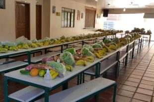Comissão discute problemas na distribuição da alimentação escolar às famílias durante pandemia