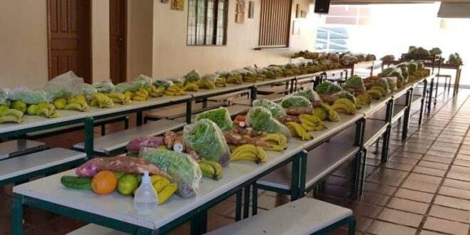 Comissão discute problemas na distribuição da alimentação escolar às famílias durante pandemia