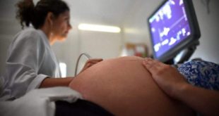 Comissão promove seminário sobre a proposta que institui o Estatuto do Nascituro