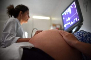 Comissão promove seminário sobre a proposta que institui o Estatuto do Nascituro