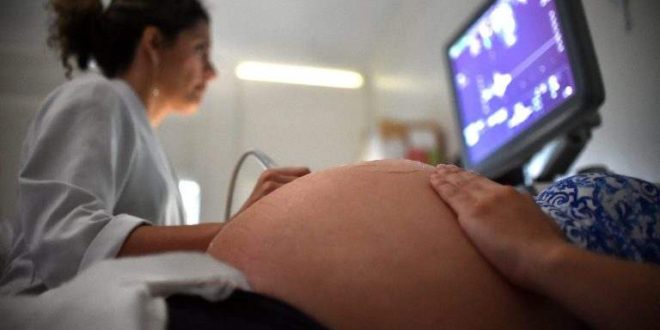 Comissão promove seminário sobre a proposta que institui o Estatuto do Nascituro