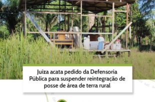 defendoria