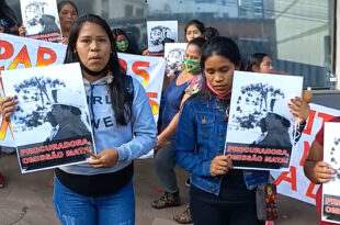 Disputa de terras para o agronegócio resulta em assassinatos e espancamentos de indígenas no Rio Grande do Sul