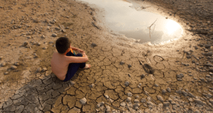 Importância da Cop 26 : aquecimento global torna insuportável a existência diária de milhões de pessoas