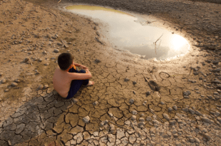 Importância da Cop 26 : aquecimento global torna insuportável a existência diária de milhões de pessoas