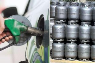 Novo aumento no preço da gasolina e do gás de cozinha a partir deste sábado (9). Perpétua reage: "precisamos tirar Bolsonaro"