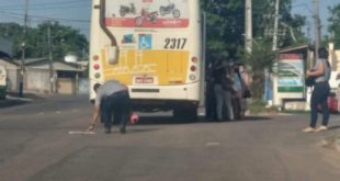 onibus