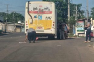 onibus