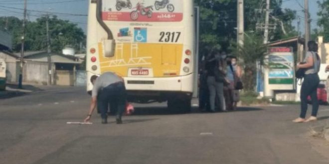 onibus