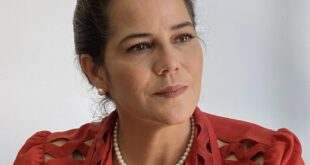 Projeto de Mara Rocha que permitirá o uso de árvores mortas ou tombadas naturalmente nas propriedades rurais é aprovado na Comissão do Meio Ambiente