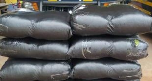 PRF apreende 90 quilos de folhas de coca em Senador Guiomard