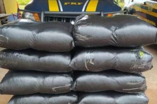 PRF apreende 90 quilos de folhas de coca em Senador Guiomard