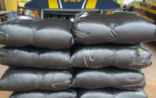 PRF apreende 90 quilos de folhas de coca em Senador Guiomard