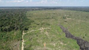 Operação da PF combate grilagem de terras no Amazonas; ex-parlamentar do Acre é alvo