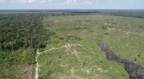 Operação da PF combate grilagem de terras no Amazonas; ex-parlamentar do Acre é alvo