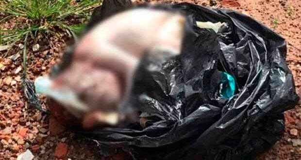 Com urubus perto, casal acha corpo de recém-nascido enrolado em sacola de lixo