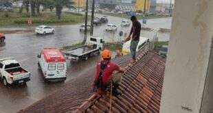 Corpo de Bombeiros atendeu mais de 300 ocorrências de tentativas de suicídio neste ano