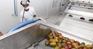 Centro de Estudos promove debate sobre retomada do crescimento econômico