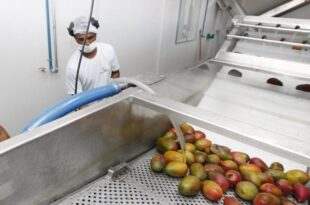 Centro de Estudos promove debate sobre retomada do crescimento econômico