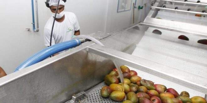 Centro de Estudos promove debate sobre retomada do crescimento econômico