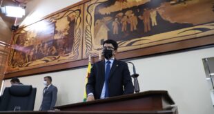 Deputado Jenilson Leite quer incentivo à cultura do açaí no Estado