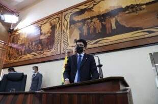 Deputado Jenilson Leite quer incentivo à cultura do açaí no Estado