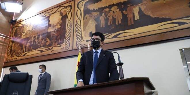 Deputado Jenilson Leite quer incentivo à cultura do açaí no Estado