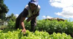 Governo do estado não paga produtores rurais fornecedores de merenda escolar desde 2019