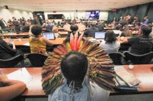 Para delegado, morte de crianças Yanomami em área de garimpo pode ter sido acidental